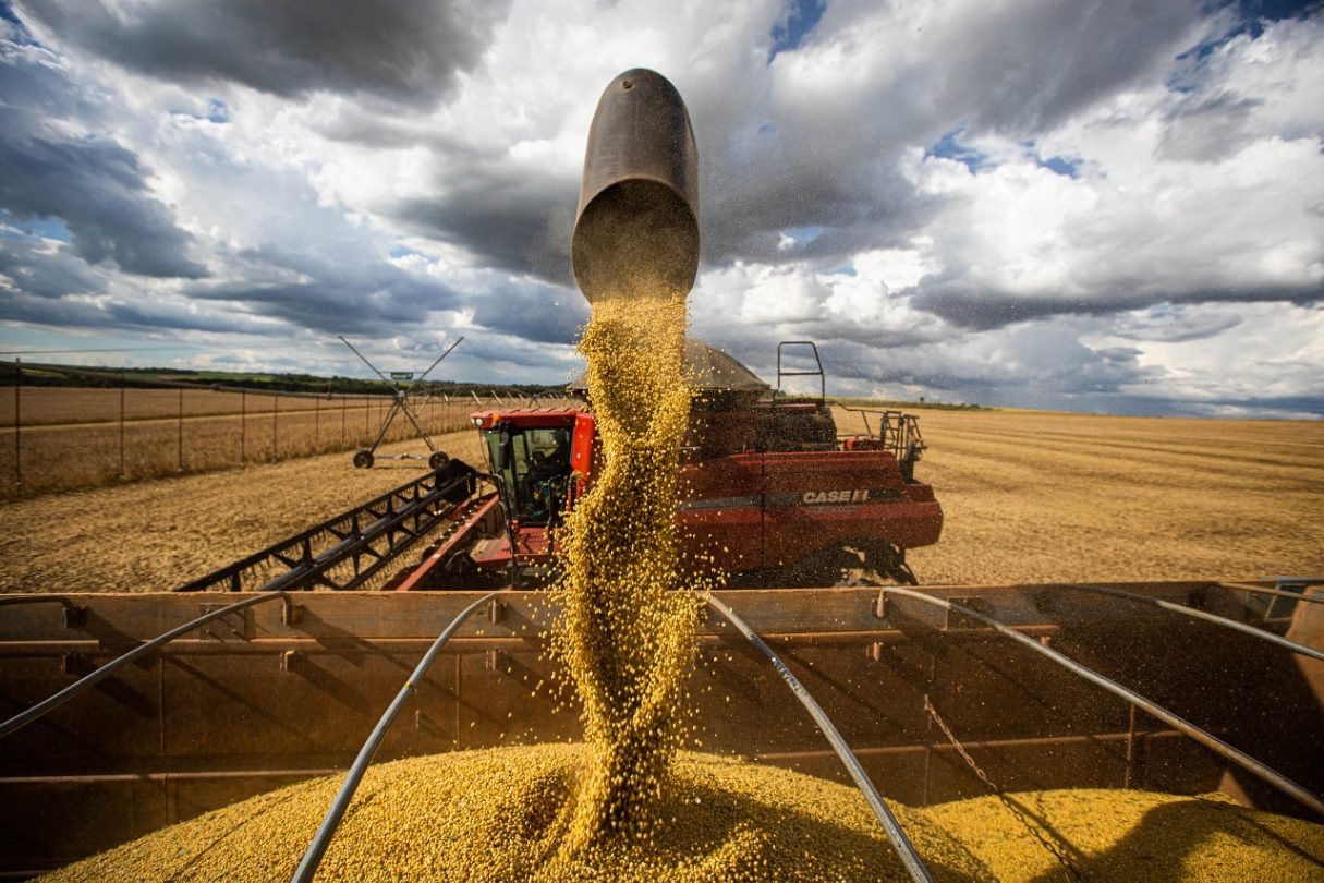 Goiás passa a ser o terceiro maior produtor de grãos do país, diz IBGE