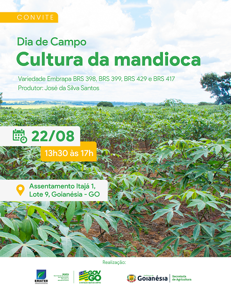 Emater realiza Dia de Campo sobre cultura da mandioca em Goianésia
