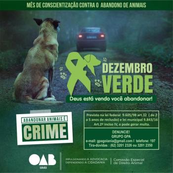 Dezembro Verde: OAB-GO lança campanha contra abandono de animais