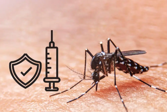 Vacina contra dengue começa a ser aplicada em fevereiro no Brasil