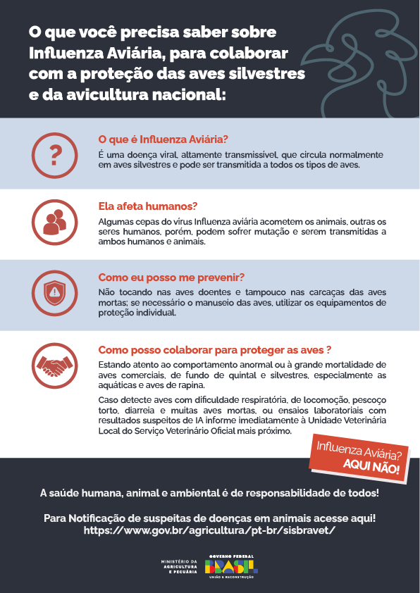 Divulgação / MAPA