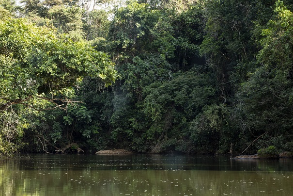 Foto NITRO – Histórias Visuais