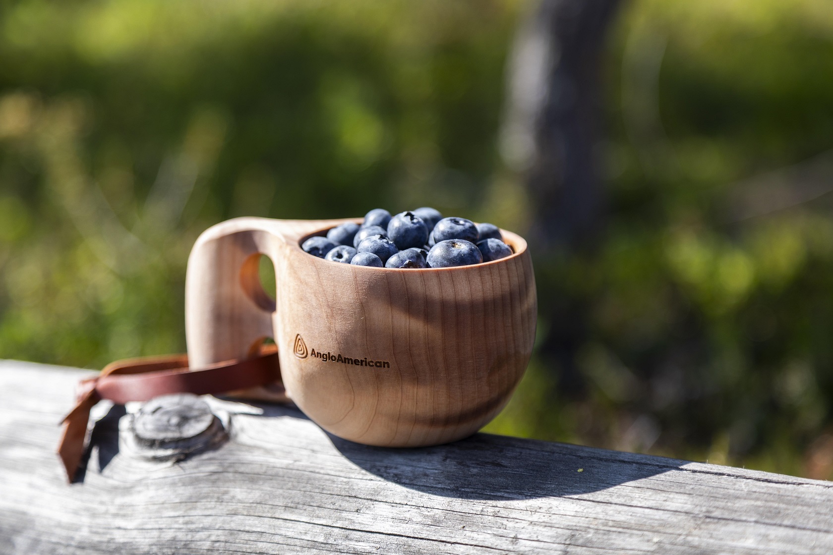 Anglo American e parceiros oferecem capacitação e apoio técnico para produção de frutas na Região