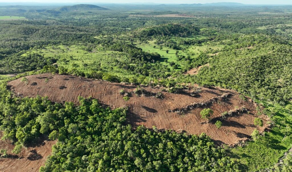 Goiás lança plataforma de fiscalização ambiental nessa quinta