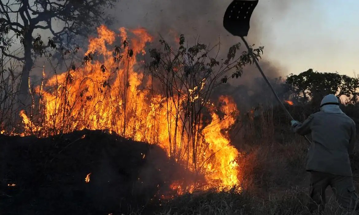 Corpo de Bombeiros registra um incêndio a cada 30 minutos em Goiás