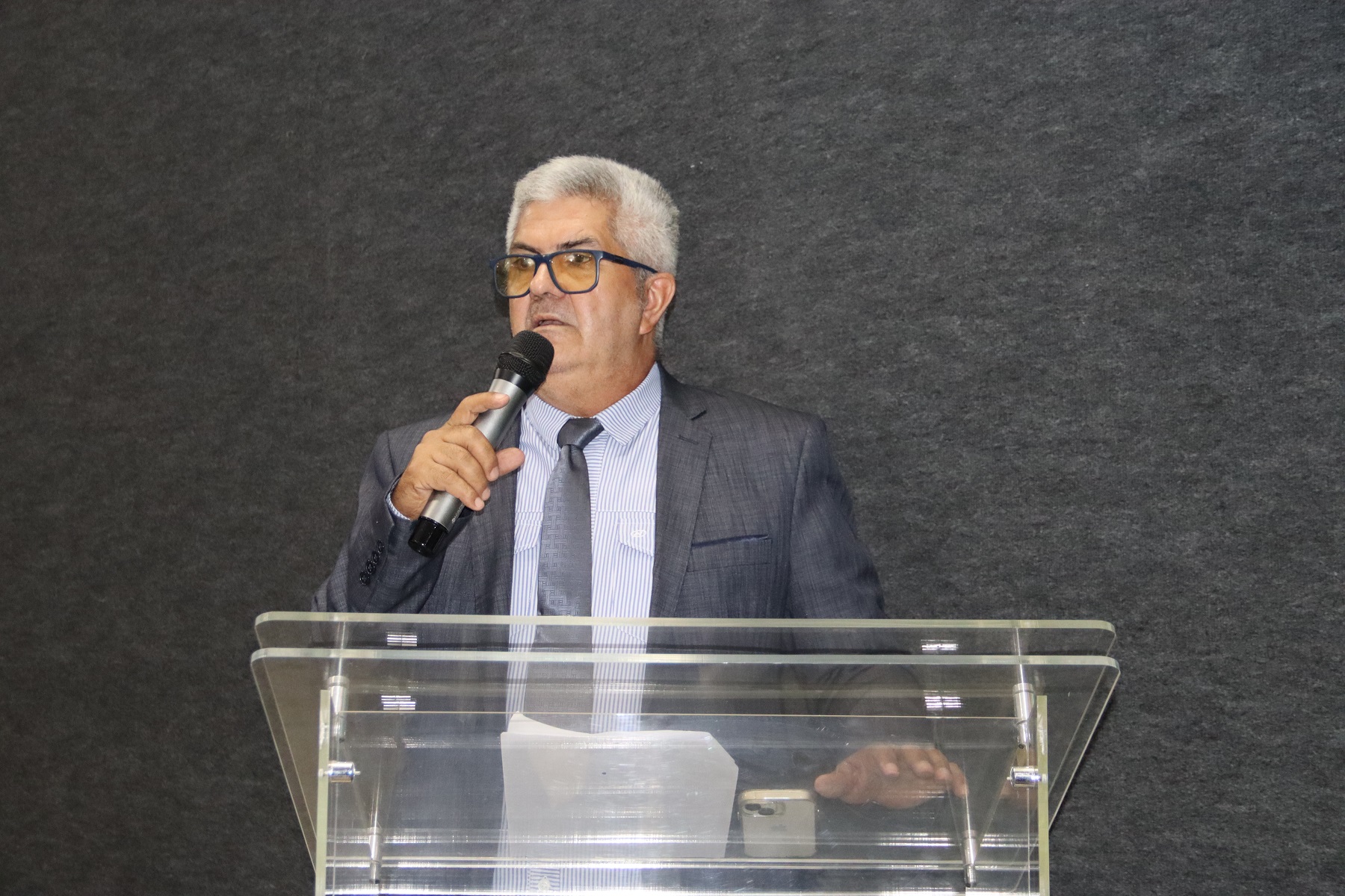 Vereador Edvaldo Ribeiro solicita a poda de galhos de árvores na GO-080.