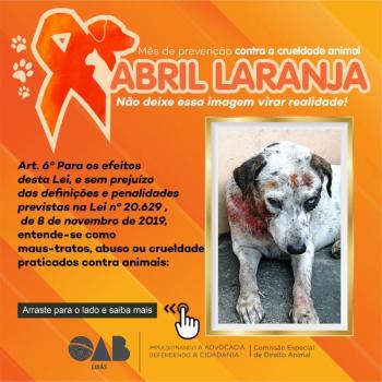 ABRIL LARANJA: OAB-GO APOIA CAMPANHA DE COMBATE À CRUELDADE ANIMAL