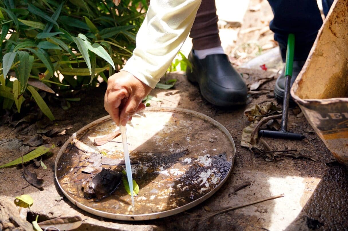Painel da dengue aponta 28 mortes confirmadas em Goiás