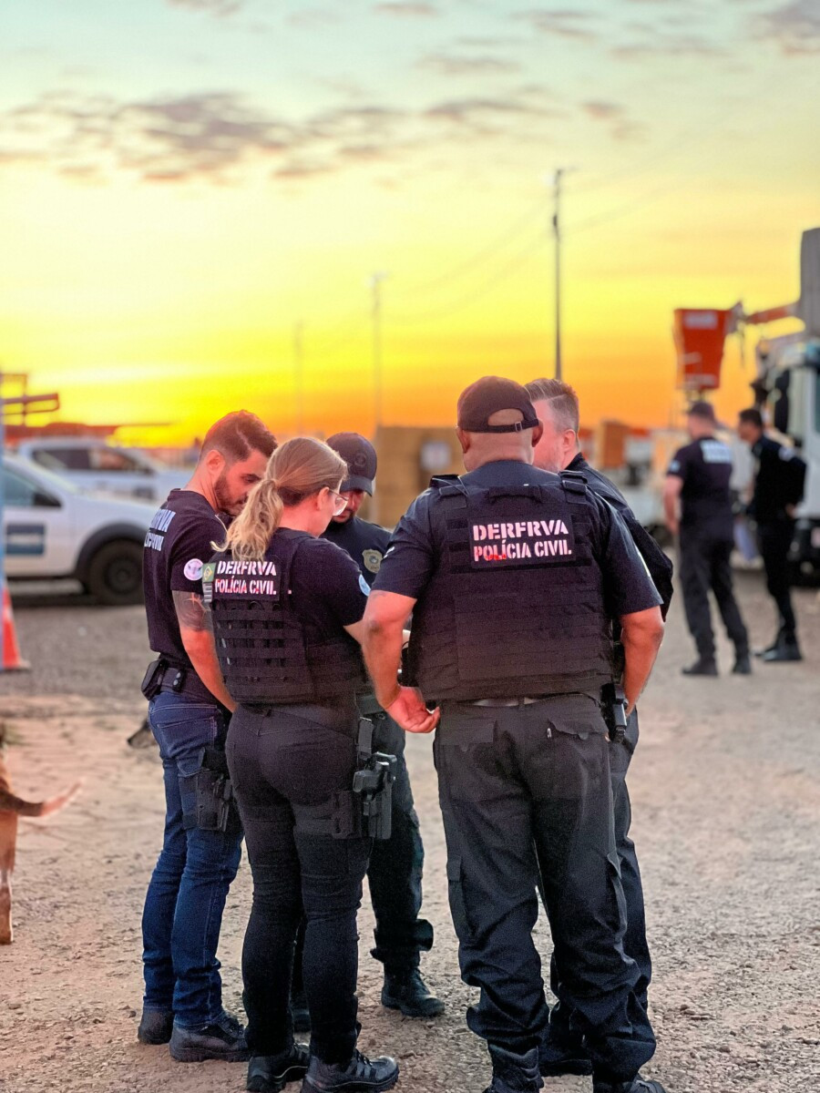 Operação Resgate da Polícia Civil apreende veículos em Goianésia, e mais 3 cidades goianas